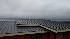 Best Metal Roofing Installation  in Ahoskie, NC